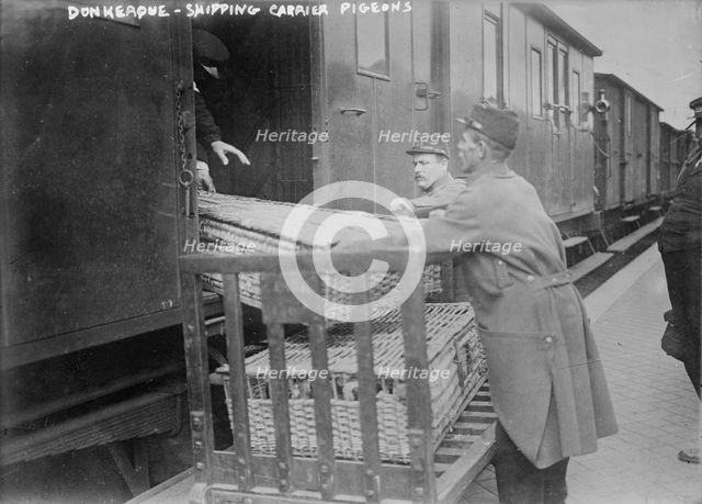 Donkerque [i.e., Dunkerque], shipping carrier pigeons, between c1914 and c1915. Creator: Bain News Service.