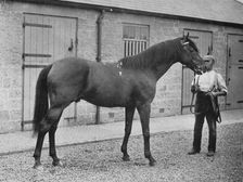 Donovan 1886-1905, (1911)