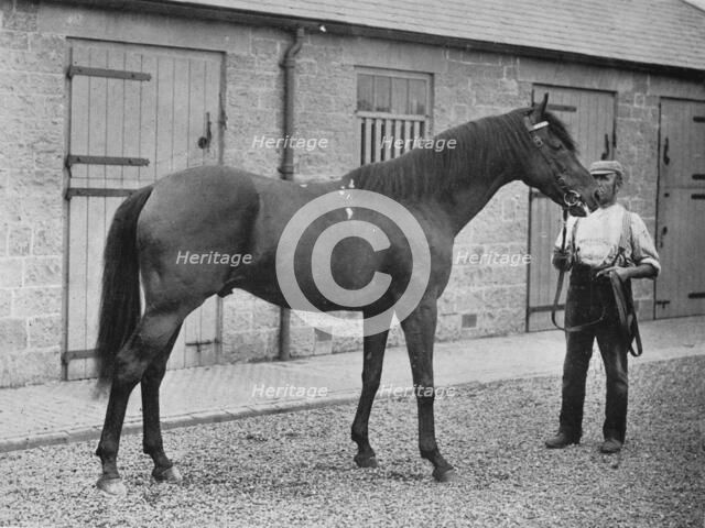 'Donovan', 1886-1905, (1911). Artist: Unknown.