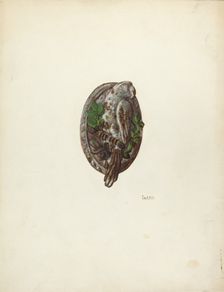 Door Knocker, c. 1940. Creator: Winifred Luten