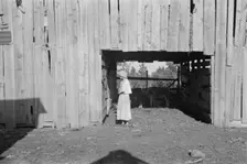 Dora Mae Tengle, sharecropper's daughter, Hale County, Alabama, 1936. Creator: Walker Evans