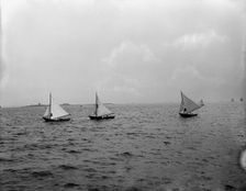 Dory race, I.H. Reg., between 1890 and 1900. Creator: Unknown
