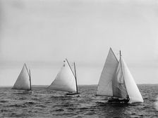 Dosoris 2, Qui Vive, and Dipper, 1894 July 29. Creator: John S Johnston