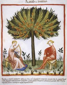 Date palm, 14th century. Creator: Unknown