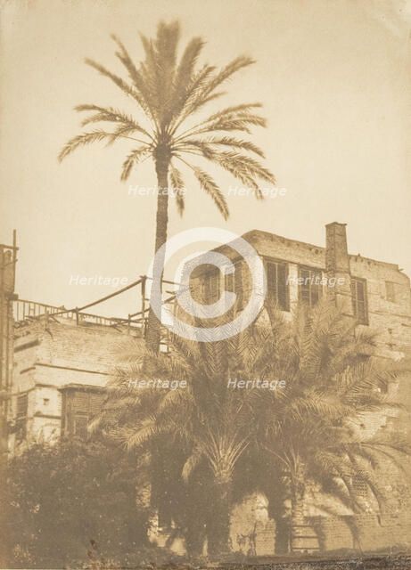 Dattiers et Maison du quartier Franc, au Kaire, December 1849-January 1850. Creator: Maxime du Camp.