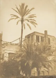 Dattiers et Maison du quartier Franc, au Kaire, December 1849-January 1850. Creator: Maxime du Camp