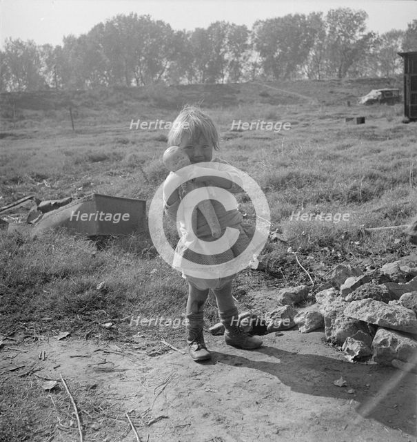 Daughter of a migrant fruit worker, American River camp outside of Sacramento, California, 1936. Creator: Dorothea Lange.