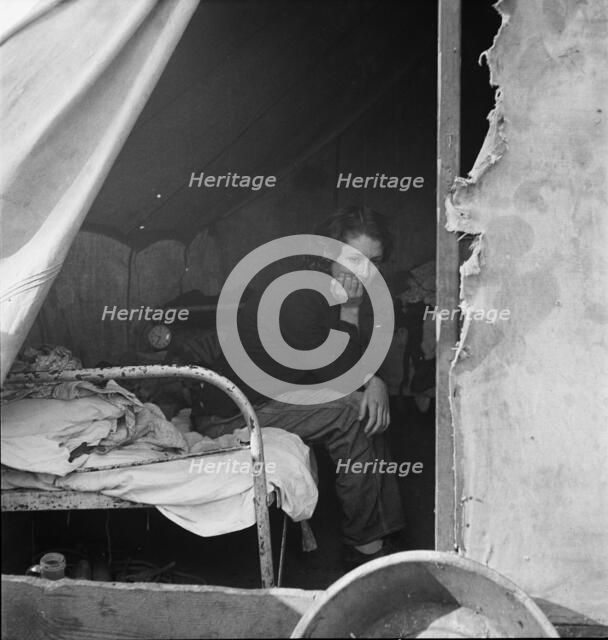 Daughter of migrant Tennessee coal miner, living in the American River Camp..., CA, 1936. Creator: Dorothea Lange.