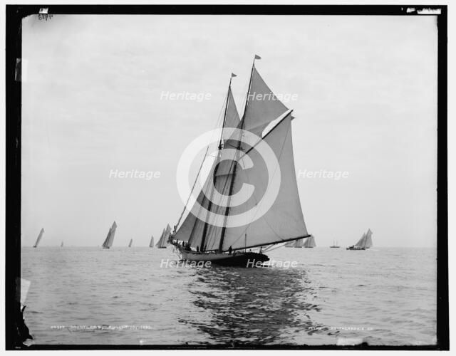 Dauntless, 1888 Aug 10. Creator: Unknown.