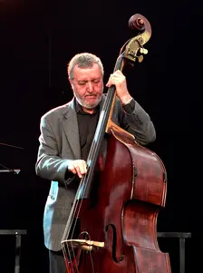 Dave Green, Brecon Jazz Festival, Powys, Wales. Artist: Brian O'Connor