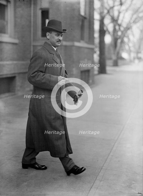 David Franklin Houston, Secretary of Agriculture, 1913.  Creator: Harris & Ewing.