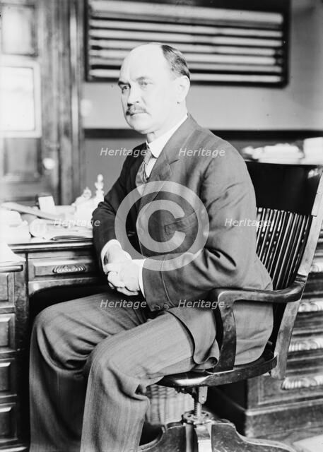 David Franklin Houston, Secretary of Agriculture, 1913.  Creator: Harris & Ewing.