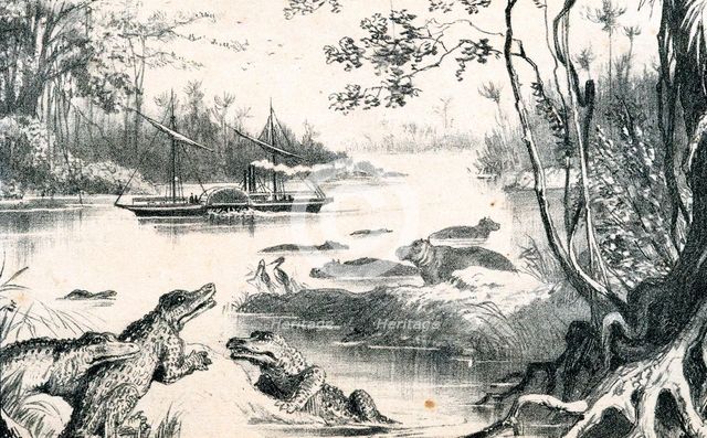 David Livingstone navigating the Zambezi, Africa, 1852-1864 (c1878). Artist: Unknown