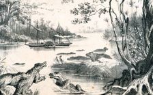David Livingstone navigating the Zambezi, Africa, 1852-1864 (c1878)