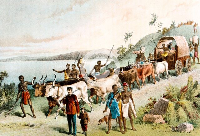 David Livingstone, Scottish missionary and African explorer, 1849 (c1878). Artist: Unknown