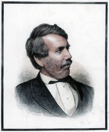 David Livingstone, Scottish missionary and African explorer, 1874