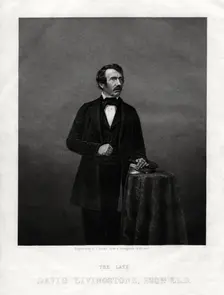 David Livingstone, Scottish missionary and African explorer, 1880. Artist: DJ Pound