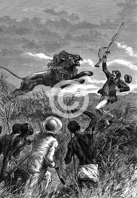 David Livingstone, Scottish missionary and African explorer, being charged by a lion, c1860. Artist: Unknown