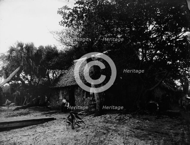 Dawson's, Gem Island, Indian River, between 1880 and 1897. Creator: William H. Jackson.