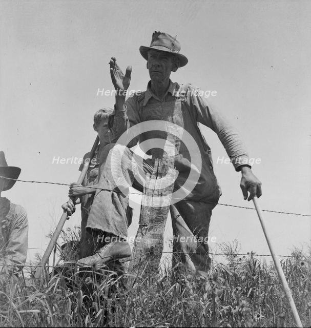 Day laborer near Oil City, Carter County, Oklahoma, 1937. Creator: Dorothea Lange.