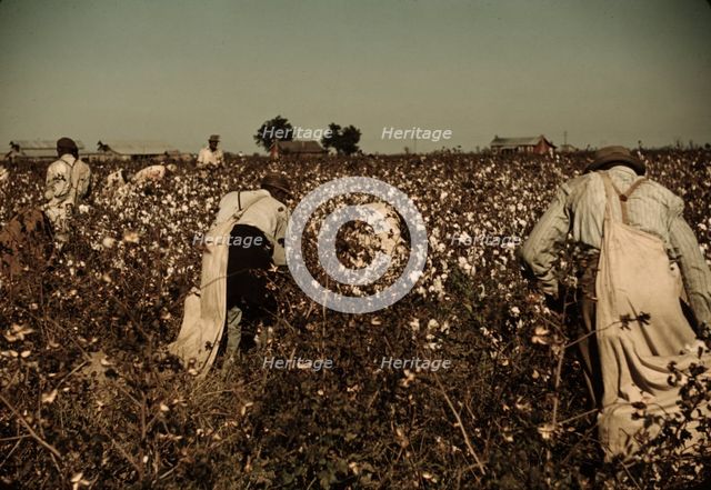 Day laborers picking cotton near Clarksdale, Miss., 1939. Creator: Marion Post Wolcott.