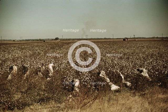 Day laborers picking cotton, near Clarksdale, Miss., 1940. Creator: Marion Post Wolcott.