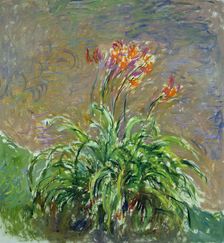 Daylilies (Les Hémérocalles), 1914-1917