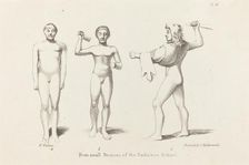 Daedalian Figures from Bronzes, published 1829. Creator: W Walton