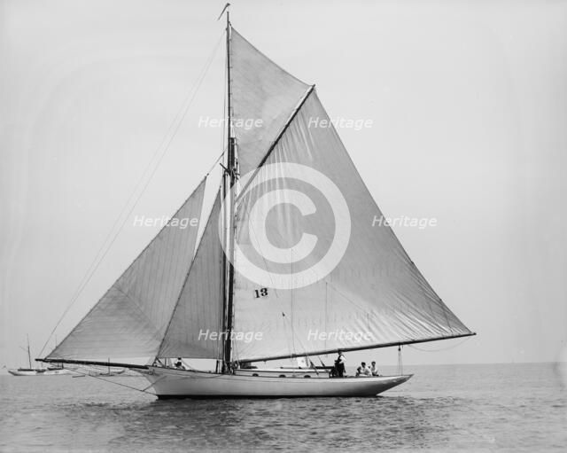 Daffodil, 1894 Aug 4. Creator: John S Johnston.