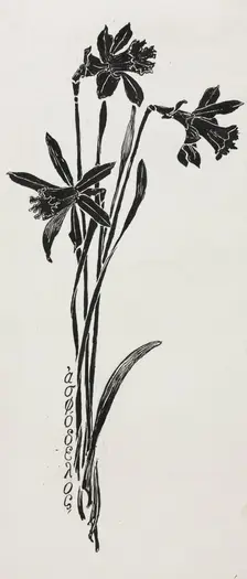 Daffodils. Creator: Harry Fenn (American, 1838/45-1911)