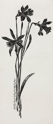 Daffodils. Creator: Harry Fenn (American, 1838/45-1911)