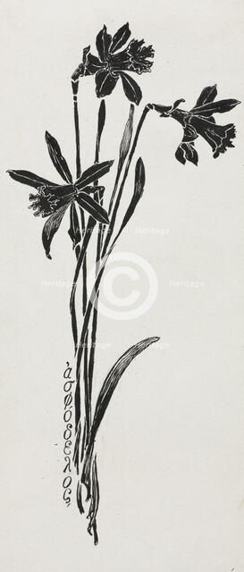 Daffodils. Creator: Harry Fenn (American, 1838/45-1911).