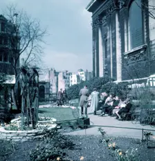 Daffodils in St Paul's Cathedral Churchyard, London, c1955. Creator: Arthur Charles Kirby Ware