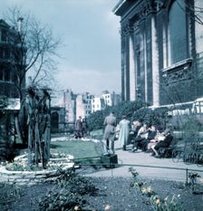Daffodils in St Paul's Cathedral Churchyard, London, c1955. Creator: Arthur Charles Kirby Ware