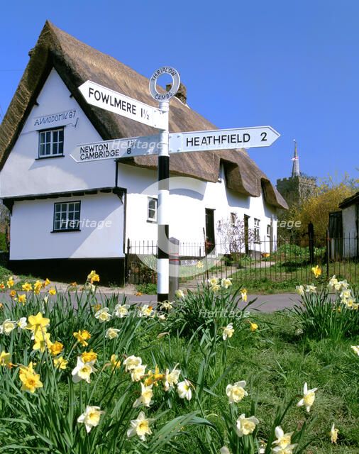 Daffodils, road sign and cottage, Thriplow, Cambridgeshire.