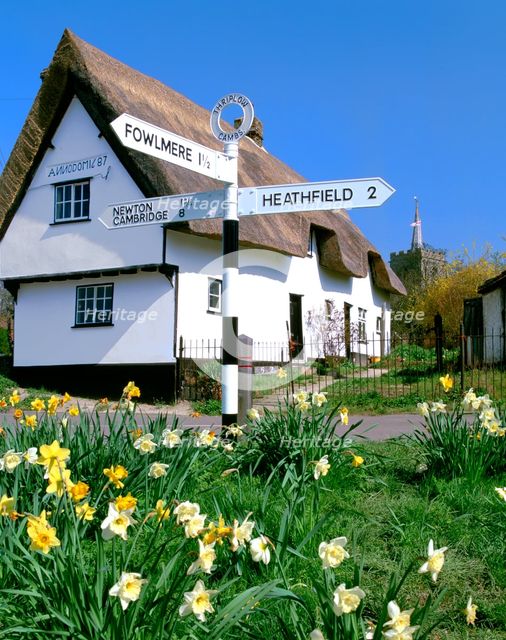 Daffodils, road sign and cottage, Thriplow, Cambridgeshire. Creator: Peter Thompson.