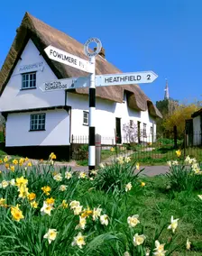 Daffodils, road sign and cottage, Thriplow, Cambridgeshire. Creator: Peter Thompson