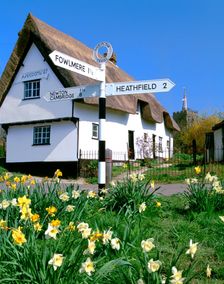 Daffodils, road sign and cottage, Thriplow, Cambridgeshire. Creator: Peter Thompson