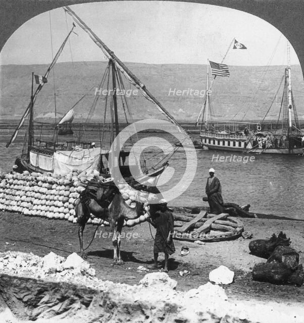 'Dahabiyehs on the river ready for a Nile voyage, Egypt', 1905.Artist: Underwood & Underwood