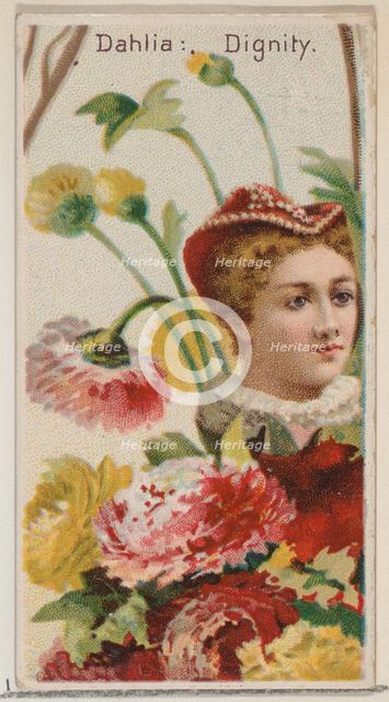Dahlia: Dignity, from the series Floral Beauties and Language of Flowers (N75) for Duke br..., 1892. Creator: Donaldson Brothers.