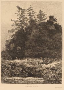 Daims dans un Parc. Creator: Karl Bodmer