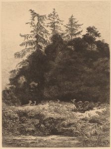 Daims dans un Parc. Creator: Karl Bodmer