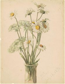 Daisies and Queen Anne's Lace, 1890. Creator: Marietta Minnigerode Andrews