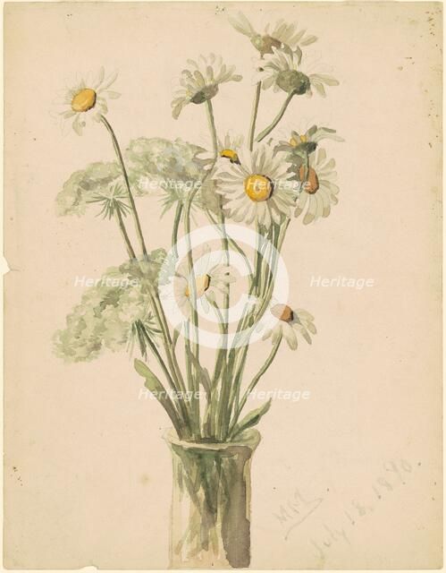 Daisies and Queen Anne's Lace, 1890. Creator: Marietta Minnigerode Andrews.