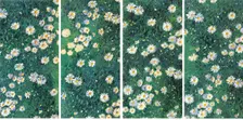 Daisies (Bed of Daisies), c. 1892-1893