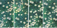 Daisies (Bed of Daisies), c. 1892-1893