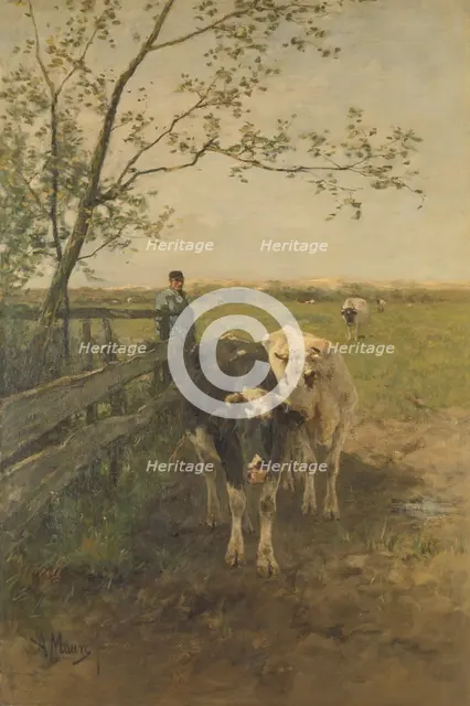 Dairy cows, 1870-1888.  Creator: Anton Mauve.