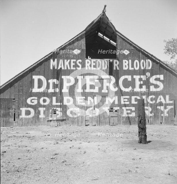 Dairy barn, between Tulare and Fresno, California, 1939. Creator: Dorothea Lange.