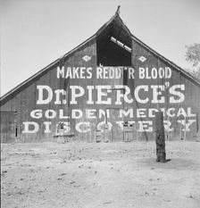 Dairy barn, between Tulare and Fresno, California, 1939. Creator: Dorothea Lange
