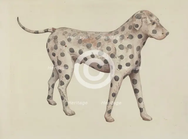 Dalmatian, 1935/1942. Creator: Betty Fuerst.